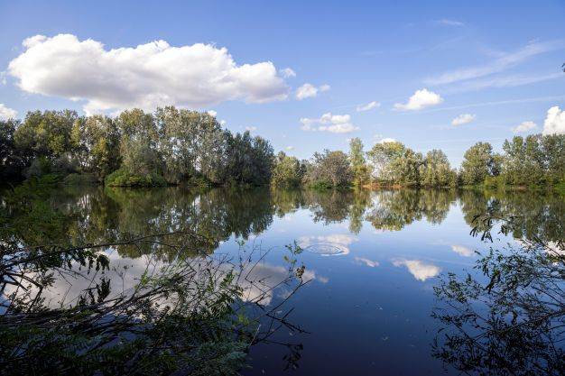 Vista del lago dell'Oasi dei Canapali. Fotografia di Alberto Chiarle.